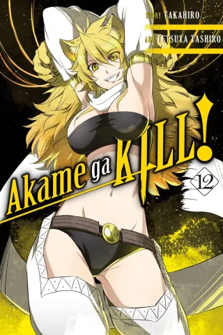 Cover of Akame ga KILL! volume 12, English edition