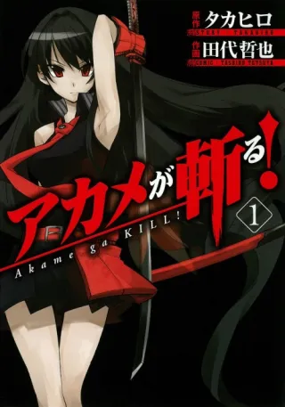 Cover of Akame ga KILL!