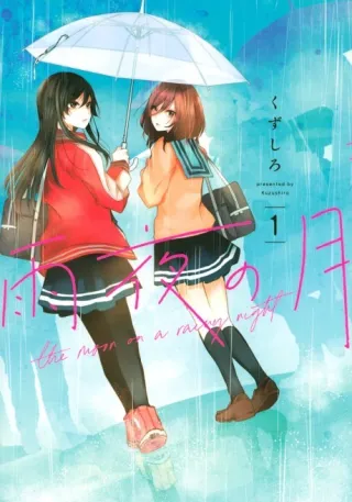 Cover of The Moon on a Rainy Night