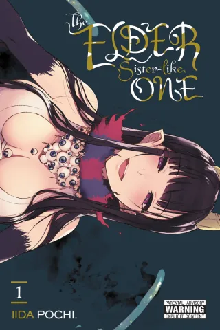 Cover of The Elder Sister-Like One volume 1, English edition