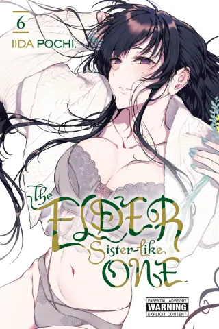 Cover of The Elder Sister-Like One volume 6, English edition