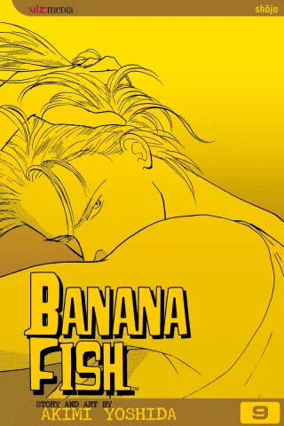 Cover of Banana Fish volume 9, English edition