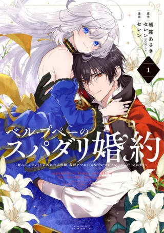 Cover of The Princess Groom
