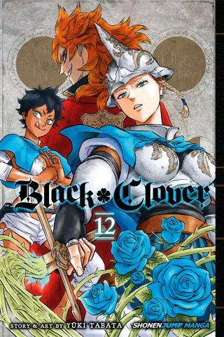 Cover of Black Clover volume 12, English edition