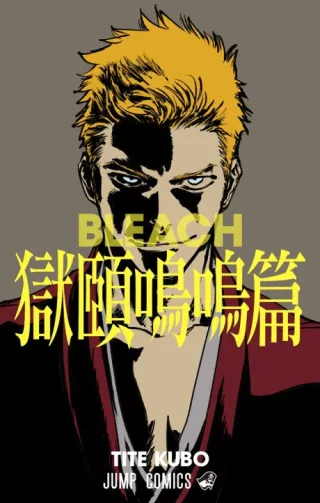 Cover of Bleach: Special One-Shot