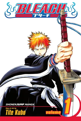 Cover of Bleach volume 1, English edition