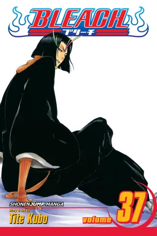 Cover of Bleach volume 37, English edition