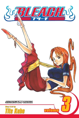 Cover of Bleach volume 3, English edition