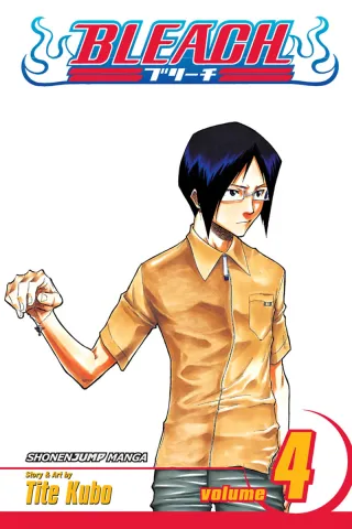 Cover of Bleach volume 4, English edition