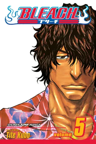 Cover of Bleach volume 5, English edition