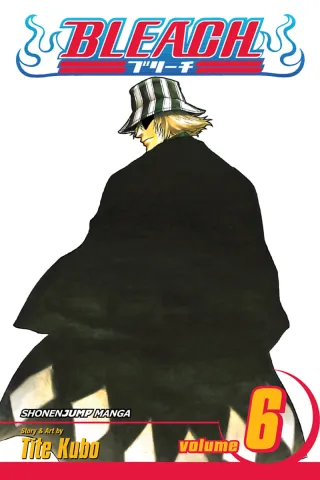 Cover of Bleach volume 6, English edition