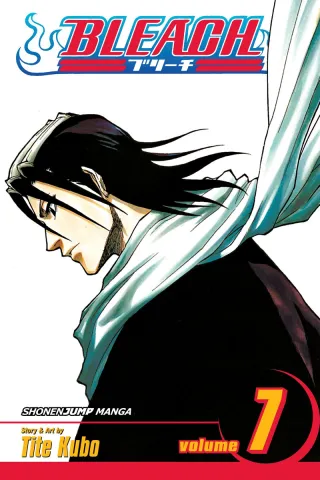 Cover of Bleach volume 7, English edition