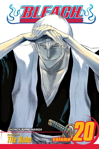 Cover of Bleach volume 20, English edition