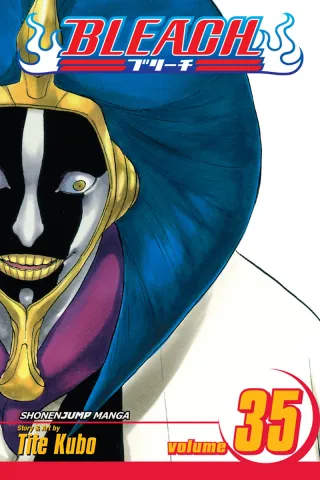 Cover of Bleach volume 35, English edition
