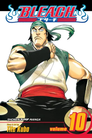 Cover of Bleach volume 10, English edition