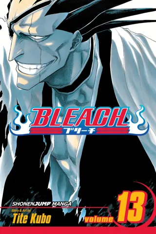Cover of Bleach volume 13, English edition