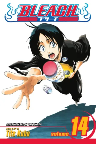 Cover of Bleach volume 14, English edition
