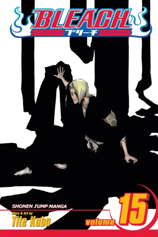 Cover of Bleach volume 15, English edition