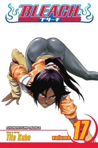 Cover of Bleach volume 17, English edition