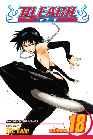 Cover of Bleach volume 18, English edition