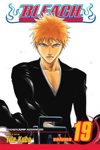 Cover of Bleach volume 19, English edition