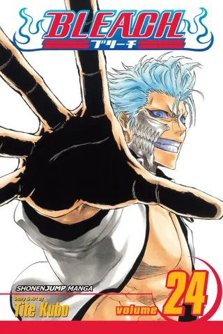 Cover of Bleach volume 24, English edition