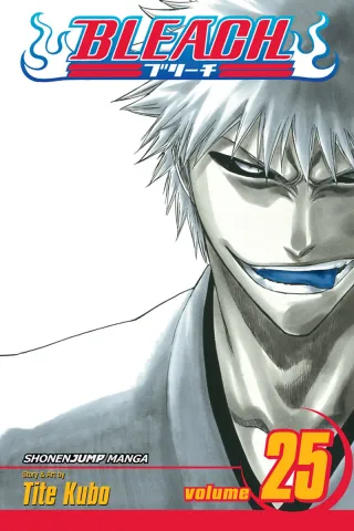 Cover of Bleach volume 25, English edition
