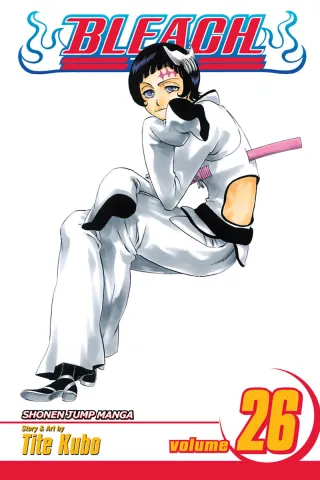 Cover of Bleach volume 26, English edition