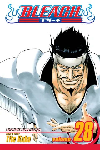 Cover of Bleach volume 28, English edition