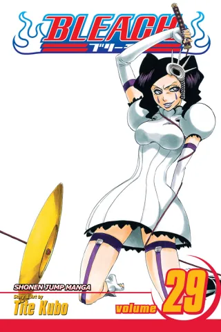 Cover of Bleach volume 29, English edition