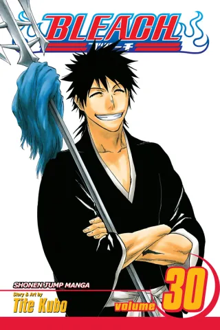 Cover of Bleach volume 30, English edition