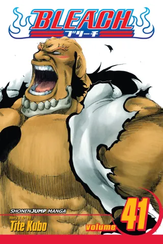 Cover of Bleach volume 41, English edition