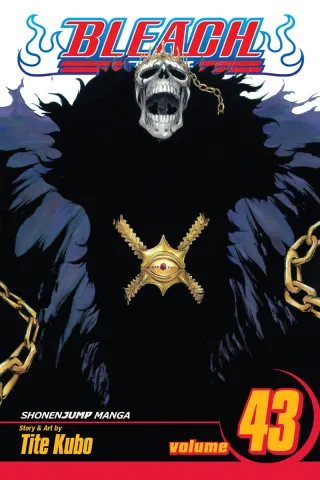 Cover of Bleach volume 43, English edition