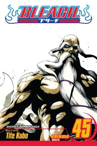 Cover of Bleach volume 45, English edition