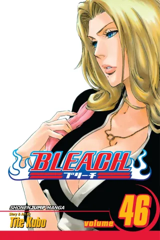 Cover of Bleach volume 46, English edition