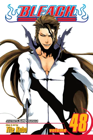 Cover of Bleach volume 48, English edition