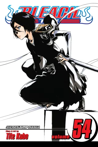 Cover of Bleach volume 54, English edition
