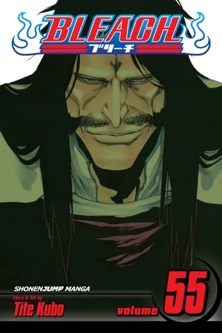 Cover of Bleach volume 55, English edition