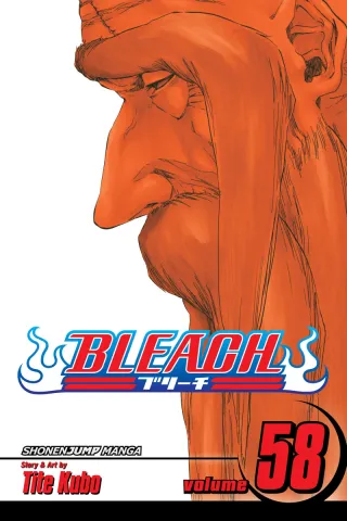 Cover of Bleach volume 58, English edition