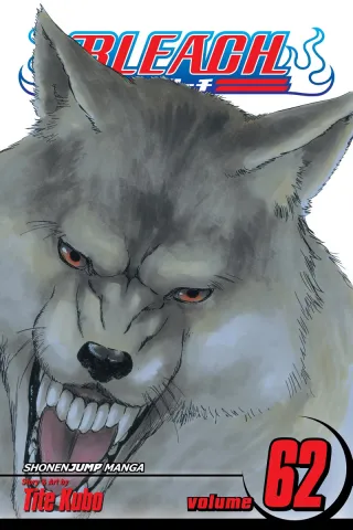 Cover of Bleach volume 62, English edition