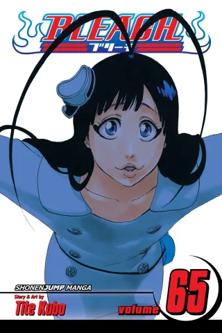 Cover of Bleach volume 65, English edition