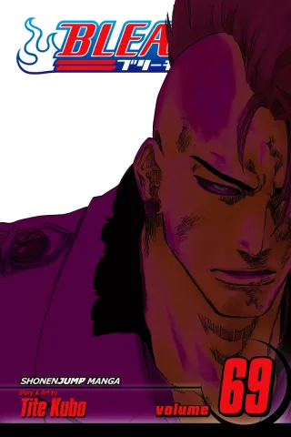 Cover of Bleach volume 69, English edition