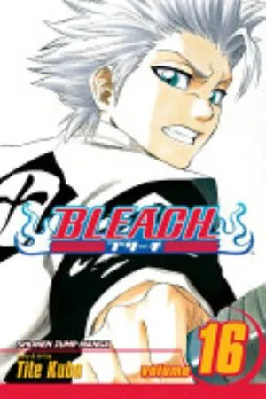 Cover of Bleach volume 16, English edition