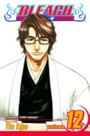 Cover of Bleach volume 12, English edition