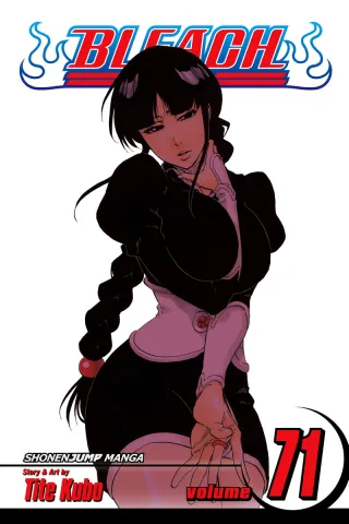 Cover of Bleach volume 71, English edition