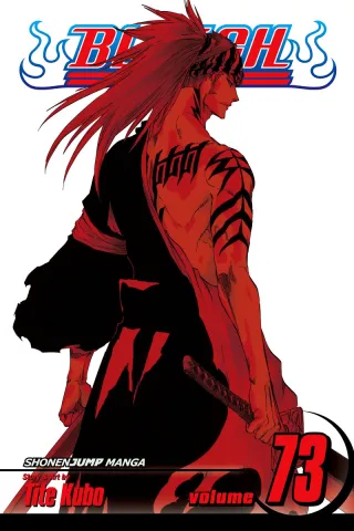 Cover of Bleach volume 73, English edition