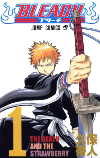 Cover of Bleach
