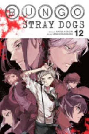 Cover of Bungo Stray Dogs volume 12, English edition