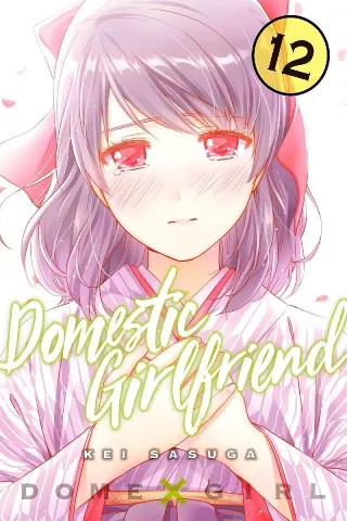 Cover of Domestic Girlfriend volume 12, English edition