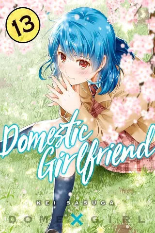 Cover of Domestic Girlfriend volume 13, English edition